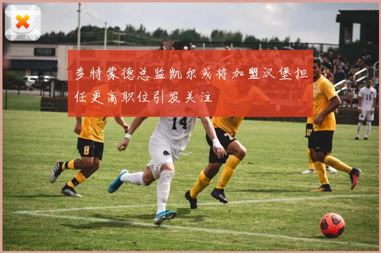 多特蒙德总监凯尔或将加盟汉堡担任更高职位引发关注