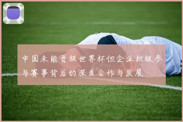中国未能晋级世界杯但企业积极参与赛事背后的深度合作与发展